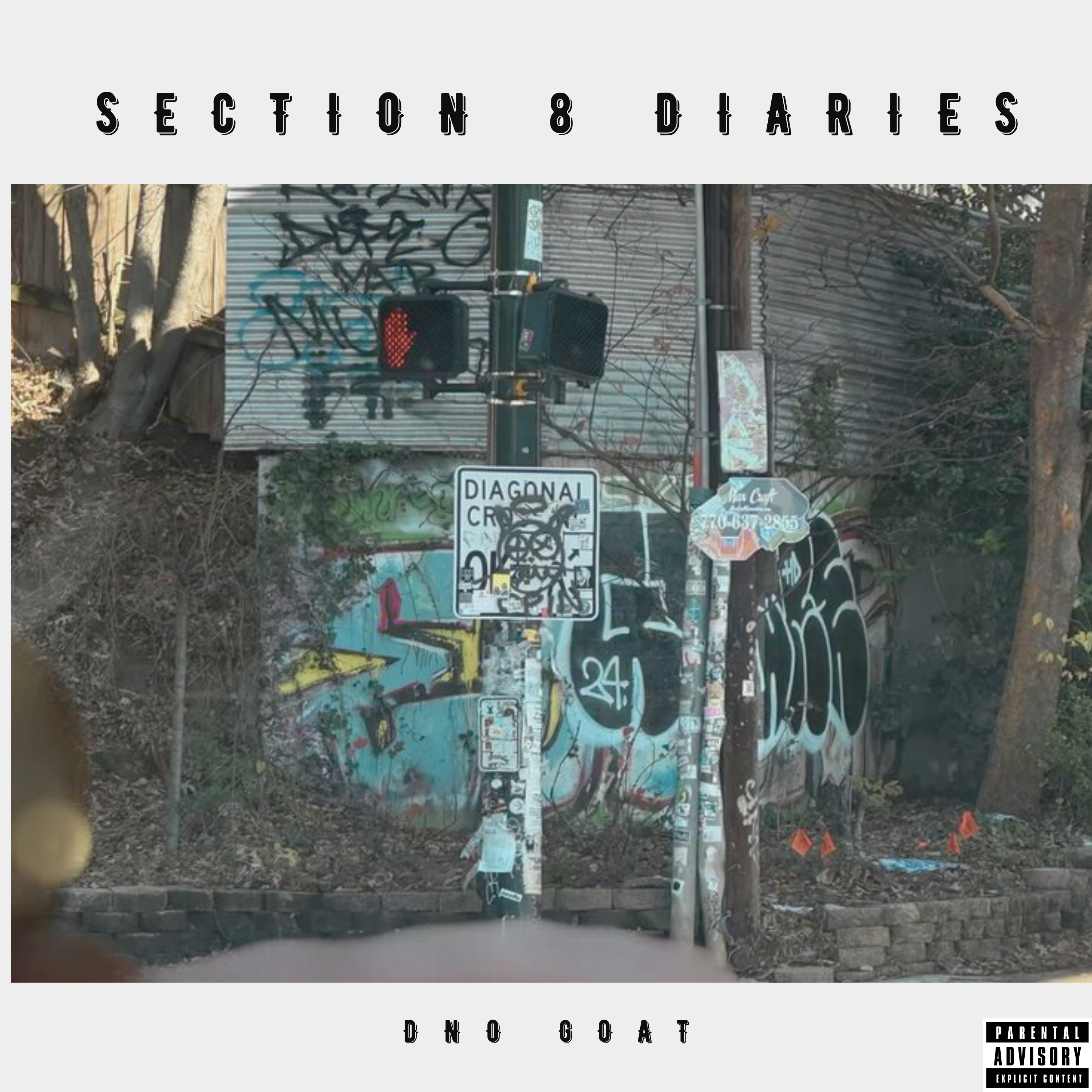 Section8 Diaries